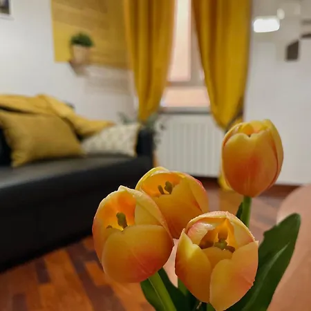 Happy Family Andreana *